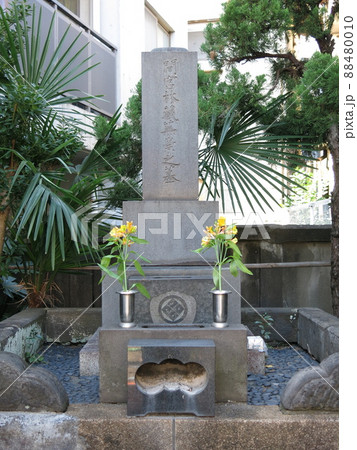 江東区平野にある探検家・間宮林蔵の墓 江東区平野にある探検家・間宮林蔵の墓 88480010
