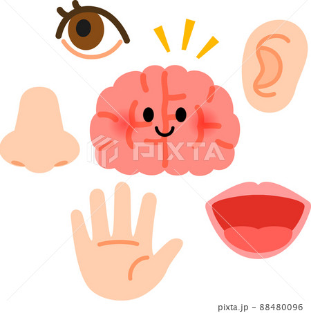 五感と脳 五感と脳 88480096