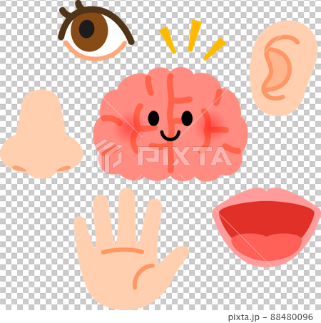 五感と脳 五感と脳 88480096