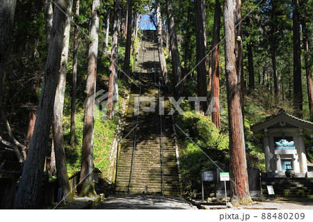 4月 身延町52菩提梯(悟りへの道)・身延山久遠寺 4月 身延町52菩提梯(悟りへの道)・身延山久遠寺 88480209