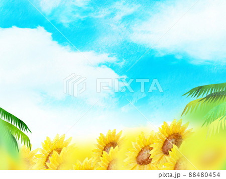 真夏のひまわり 背景素材 真夏のひまわり 背景素材 88480454