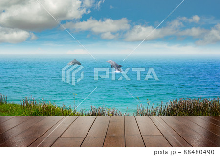 Top of wood table with sea and two dolphin background - Empty ready for your product display montage. Concept of beach in summer Top of wood table with sea and two dolphin background - Empty ready for your product display montage. Concept of beach in summer 88480490