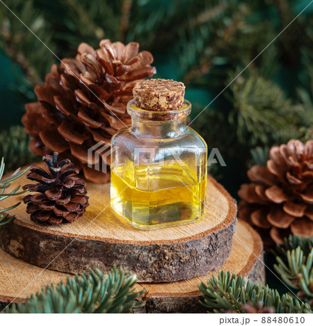 Glass bottle with conifer essential oil near fir branches and pine cones on green close up 88480610