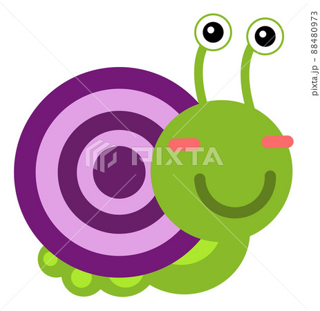 Seashell Cartoon Purple