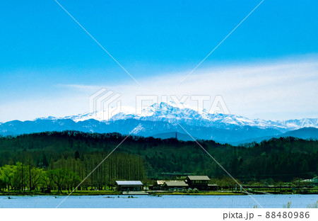 木場潟から見た白山 88480986