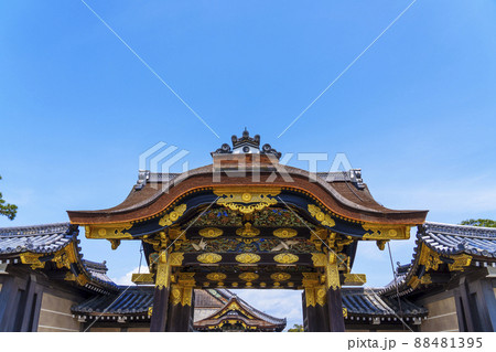 二条城　唐門と二の丸御殿　桜が満開の季節　【京都市】 88481395