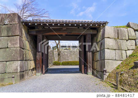 二条城 南中仕切門 桜が満開の季節 【京都市】 二条城 南中仕切門 桜が満開の季節 【京都市】 88481417