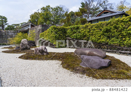 二条城　加茂七石　桜が満開の季節　【京都市】 88481422