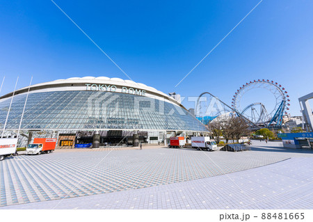 東京ドーム 88481665