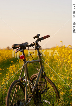 サイクリング　自転車　ミニベロ 88481771