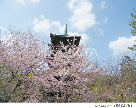 春の八事興正寺 春の八事興正寺 88482763