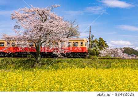 飯給駅を通過する列車 88483028