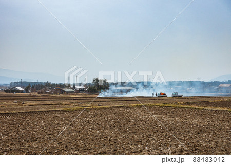 畦焼きの風景【春の安曇野】 88483042