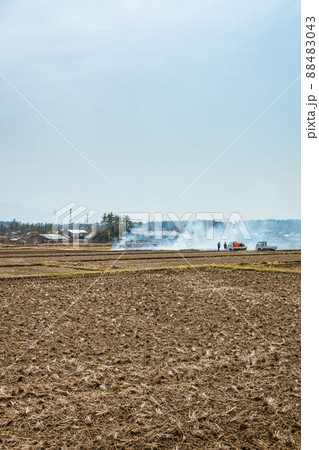 畦焼きの風景【春の安曇野】 畦焼きの風景【春の安曇野】 88483043