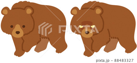クマ_2パターンのイラスト素材 [88483327] - PIXTA