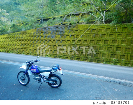 とある林道へ。緑の綺麗さに癒される。 88483701