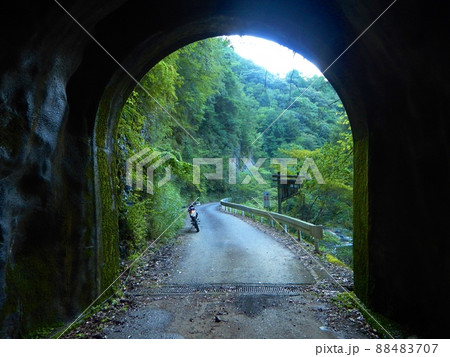 とある林道へ。緑の綺麗さに癒される。 88483707