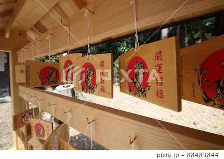 航空神社 航空神社 88483844