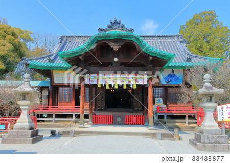 【香川県】早春の滝宮天満宮（学問の神様） 88483877