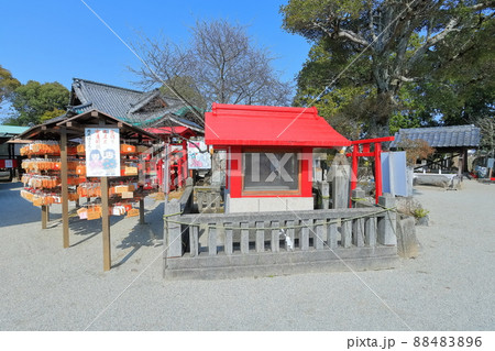 【香川県】早春の滝宮天満宮（学問の神様） 88483896