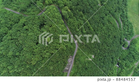 山の中の道 山の中の道 88484557
