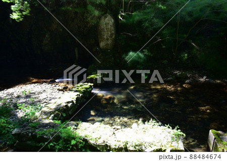 夏の有馬温泉にある鼓ヶ滝 88484674