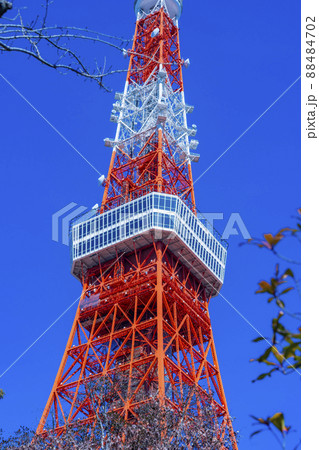観光名所の東京タワー「Tokyo Towerとうきょうタワー」 タイトル変更 88484702