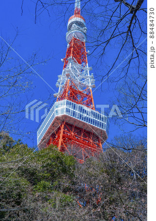 観光名所の東京タワー「Tokyo Towerとうきょうタワー」 タイトル変更 観光名所の東京タワー「Tokyo Towerとうきょうタワー」 タイトル変更 88484730