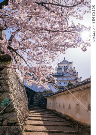 (兵庫県)姫路城・菱の門 満開の桜 (兵庫県)姫路城・菱の門 満開の桜 88485150