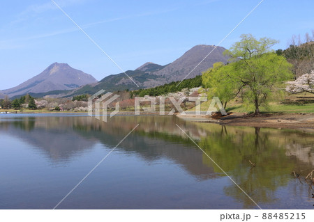 春の志高湖(由布岳・鶴見岳) 春の志高湖(由布岳・鶴見岳) 88485215