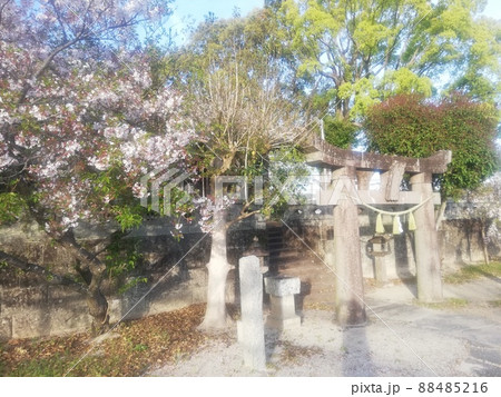 神社 神社 88485216
