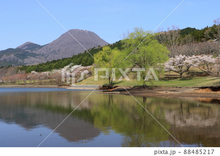 春の志高湖(鶴見岳) 春の志高湖(鶴見岳) 88485217