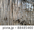 wood grain background. 88485460