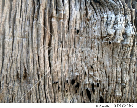wood grain background. 88485460