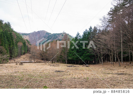 山ノ神自然園の野ッ原 88485816