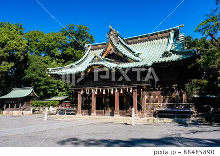 静岡県三島市 三嶋大社 拝殿 88485890