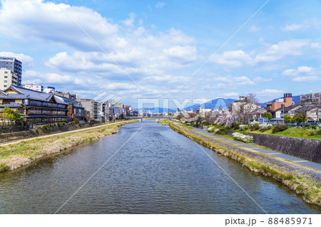 五条大橋から四条方面に見た京都鴨川の風景 桜の季節 五条大橋から四条方面に見た京都鴨川の風景 桜の季節 88485971