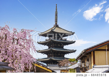 八坂の塔と満開の桜【2022年春　京都】 88485978