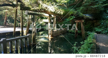 水に浮かぶ神社の鳥居 水に浮かぶ神社の鳥居 88487218