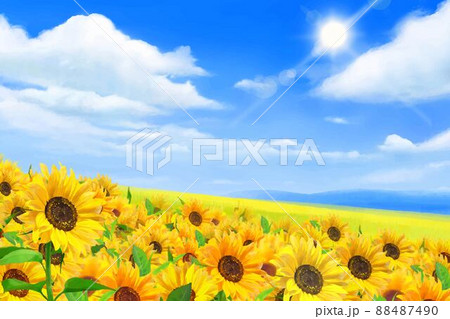 雲のある青空に輝く太陽の下美しいひまわりが咲く爽やかなひまわり畑の初夏フレーム背景素材 88487490