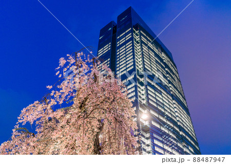 日本の東京都市景観 東京駅前の東京ミッドタウン八重洲やシダレザクラなどを望む=4月7日 日本の東京都市景観 東京駅前の東京ミッドタウン八重洲やシダレザクラなどを望む=4月7日 88487947