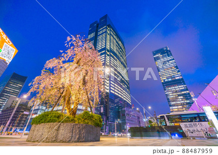 日本の東京都市景観 東京駅前の東京ミッドタウン八重洲やシダレザクラなどを望む=4月7日 日本の東京都市景観 東京駅前の東京ミッドタウン八重洲やシダレザクラなどを望む=4月7日 88487959
