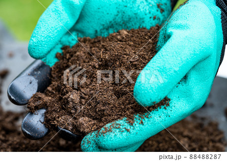 Hand holding peat moss organic matter improve soil for agriculture organic plant growing, ecology concept. 88488287