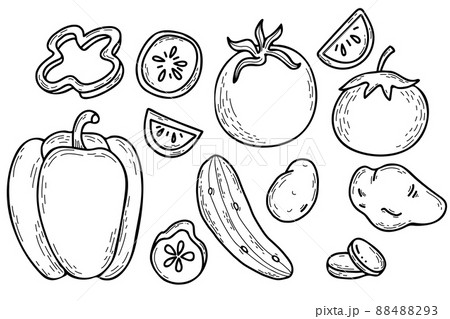Set of vector hand drawn vegetables. Potatoes, peppers, cucumber and tomatoes. Whole vegetables and cut pieces. Vector illustration. Linear hand drawn doodle style for design, decor and decoration. Set of vector hand drawn vegetables. Potatoes, peppers, cucumber and tomatoes. Whole vegetables and cut pieces. Vector illustration. Linear hand drawn doodle style for design, decor and decoration. 88488293