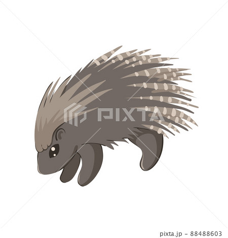 Vector baby porcupine 88488603