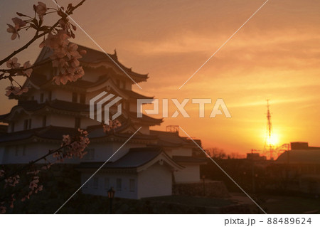 尼崎 尼崎城 朝 朝日 春 桜 右スペース 尼崎 尼崎城 朝 朝日 春 桜 右スペース 88489624