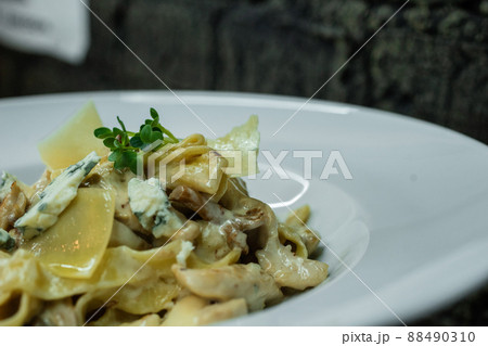 Tasty hot noodle with cream sauce with fried mushrooms and Roquefort cheese in a bar on a brick wall background. Healthy tasty breakfast. Close-up. Tasty hot noodle with cream sauce with fried mushrooms and Roquefort cheese in a bar on a brick wall background. Healthy tasty breakfast. Close-up. 88490310