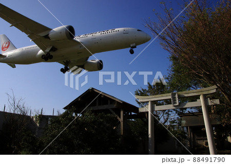東峰神社と飛行機（JAL）　【千葉県成田市成田空港東峰神社にて】 88491790