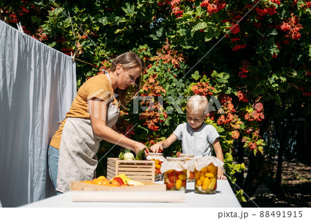 Canning Garden Vegetables, preservation of tomatoes, peppers, zucchini vegetables. Fermented food. Family mother and kid canning vegetables in the garden in summer day. 88491915