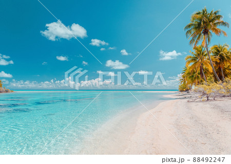 Beach paradise travel vacation tropical getaway in Rangiroa atoll, Tuamotu islands, French Polynesia. Tahiti honeymoon destination with idyllic pristine ocean crystal clear turquoise water 88492247